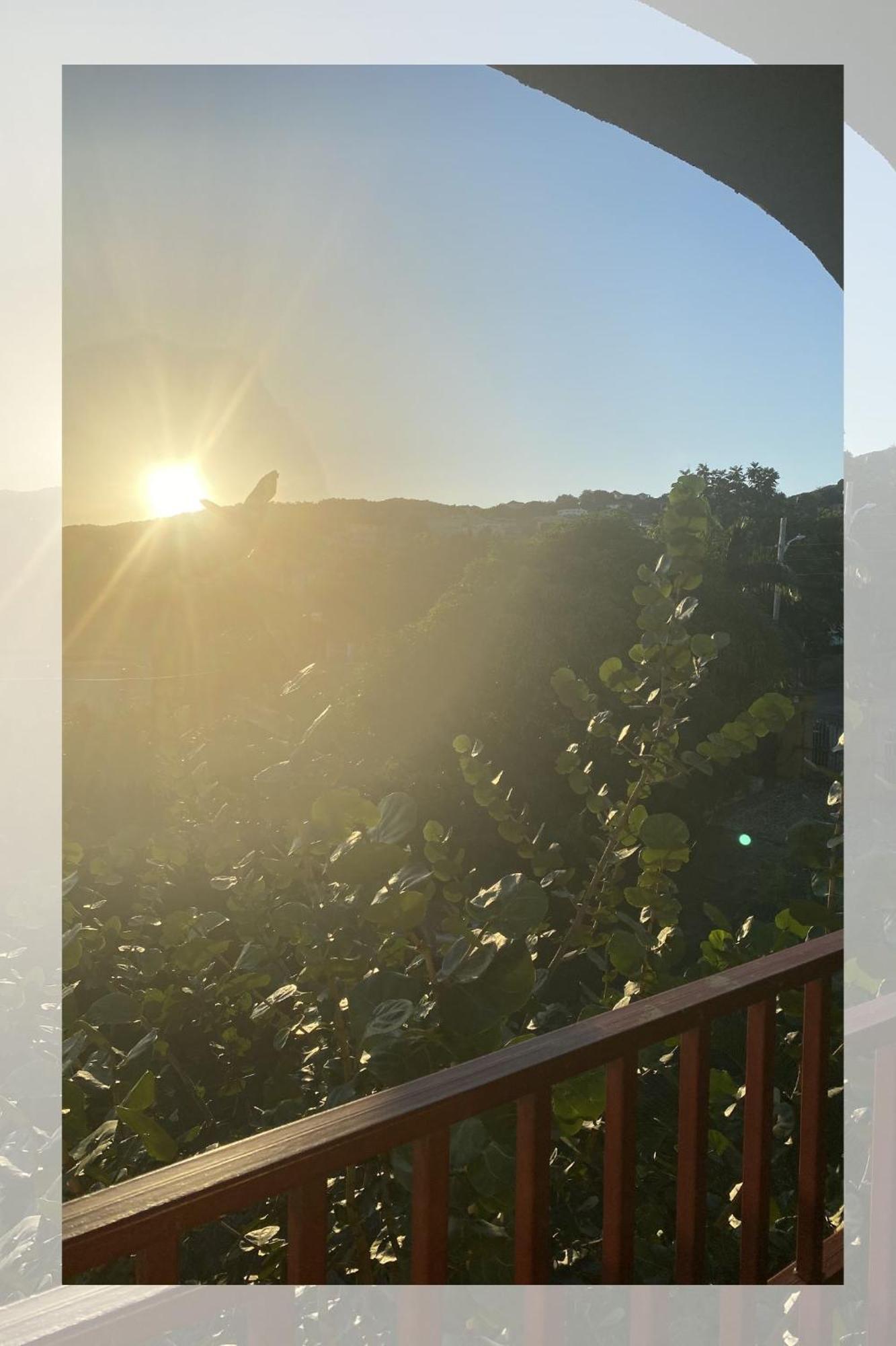 Jamaica Like A Local, A Perfect Girls' Getaway With Curated Excursions *