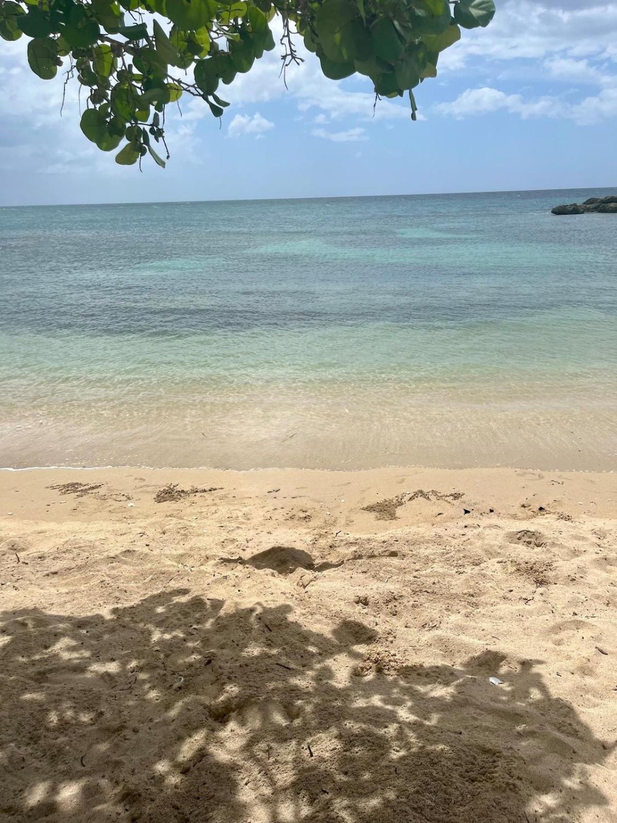 Sunny-shore Hideaway * Lucea
