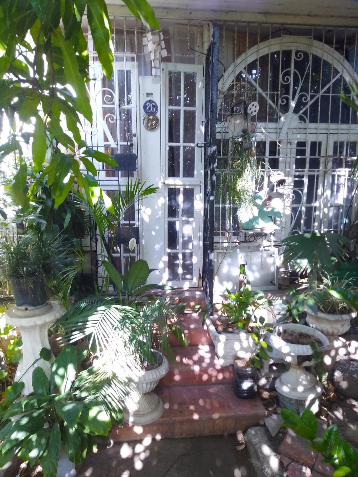 Captain Morgan House *