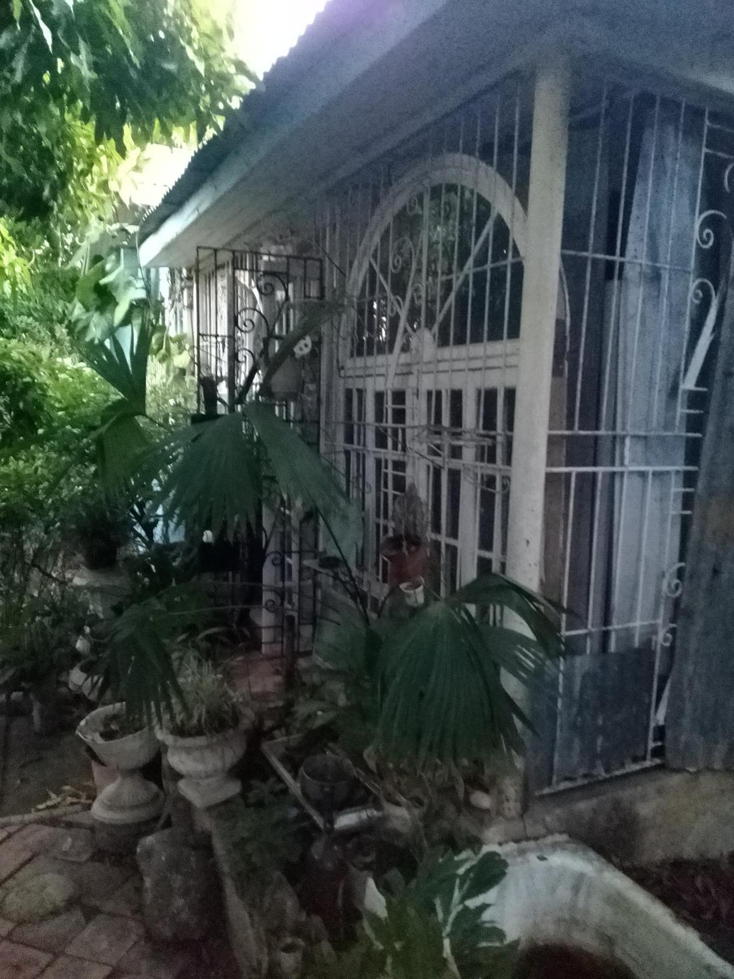 Captain Morgan House Homestay