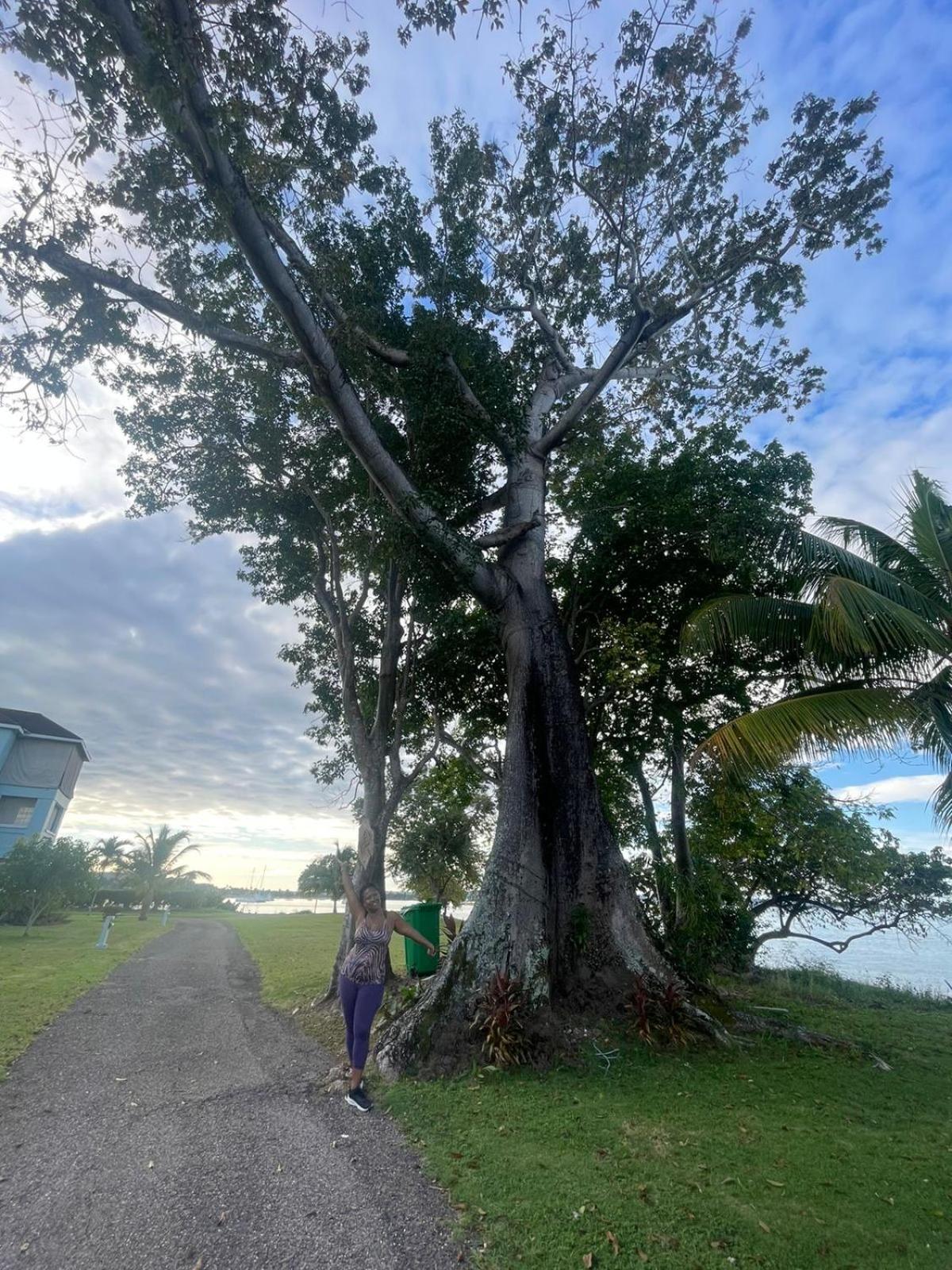 Negril Beachfront Oceanview 164 & 145 * Orange Bay
