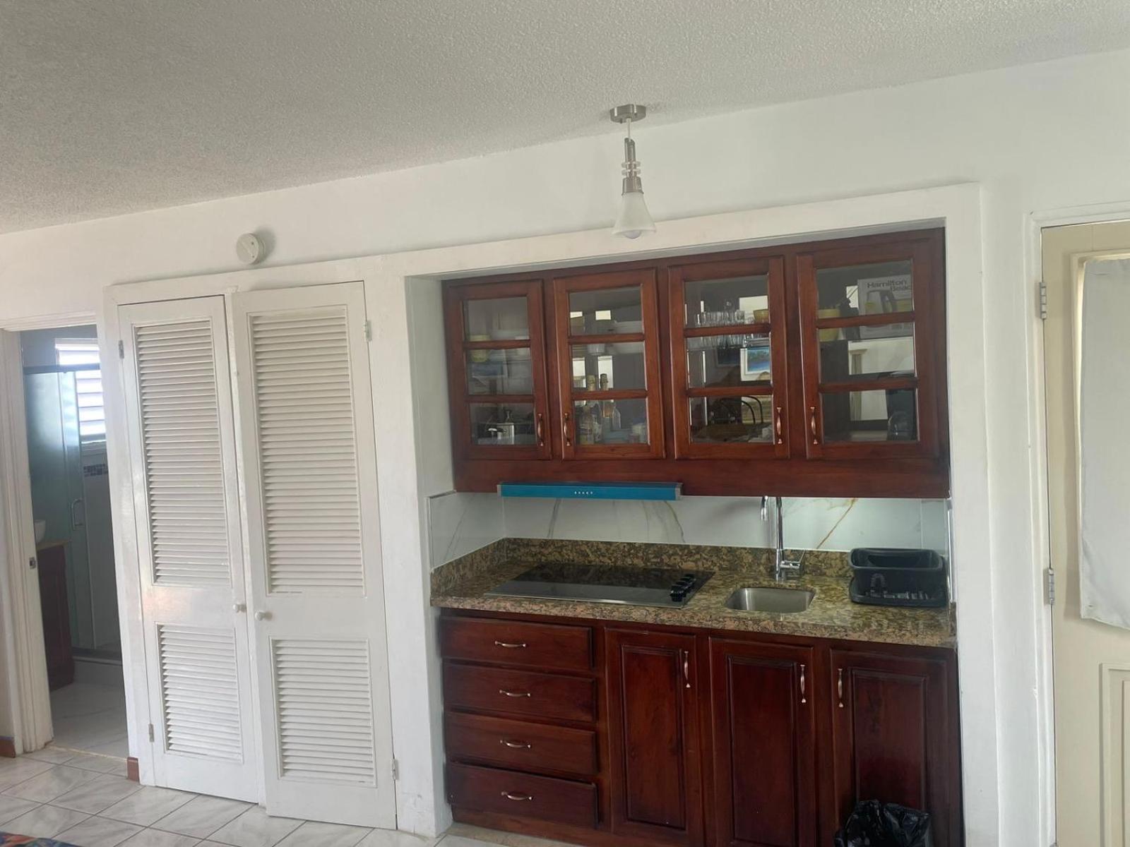 Negril Beachfront Oceanview 164 & 145 Apartment