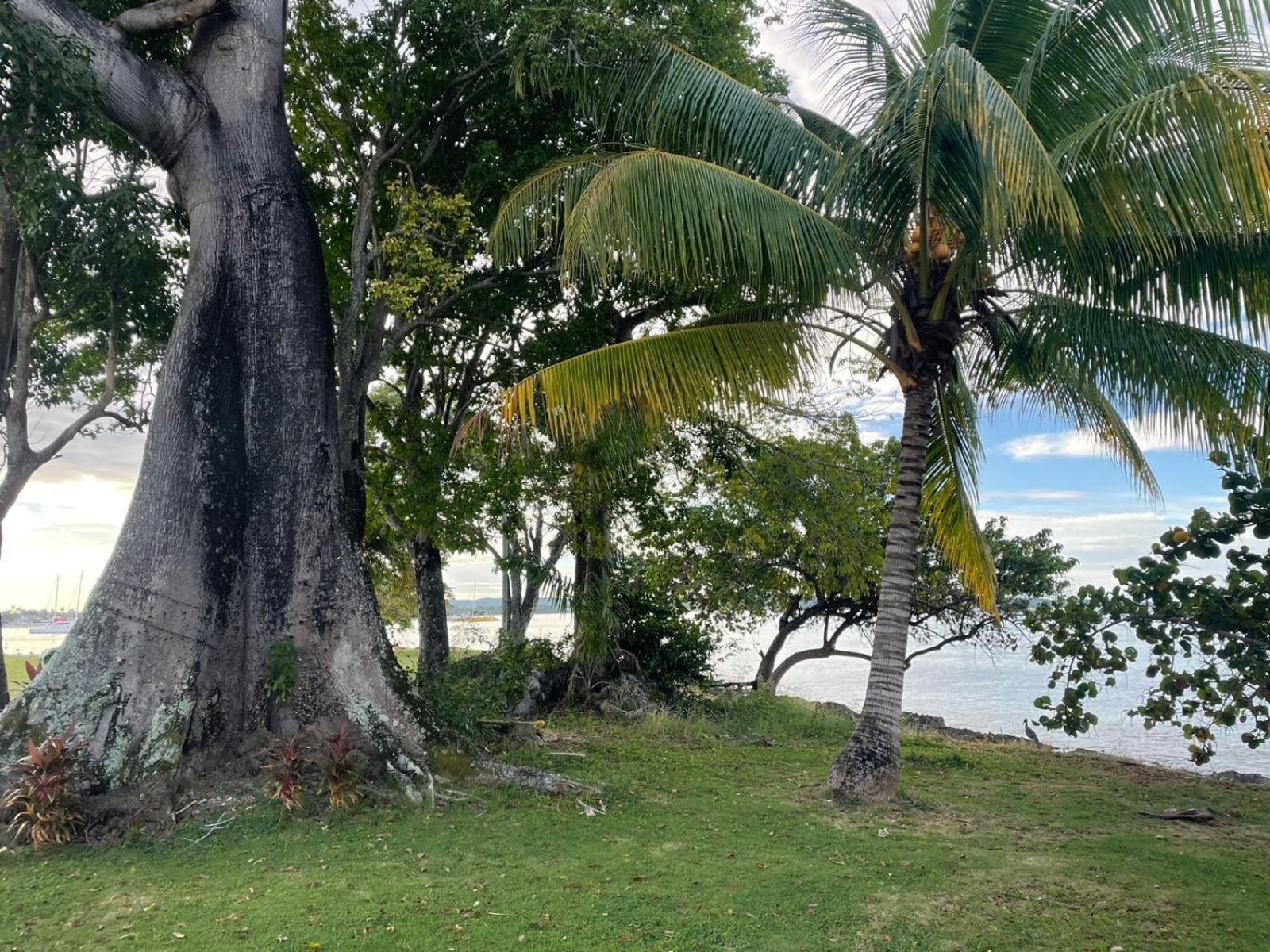 Negril Beachfront Oceanview 164 & 145 Apartment Orange Bay