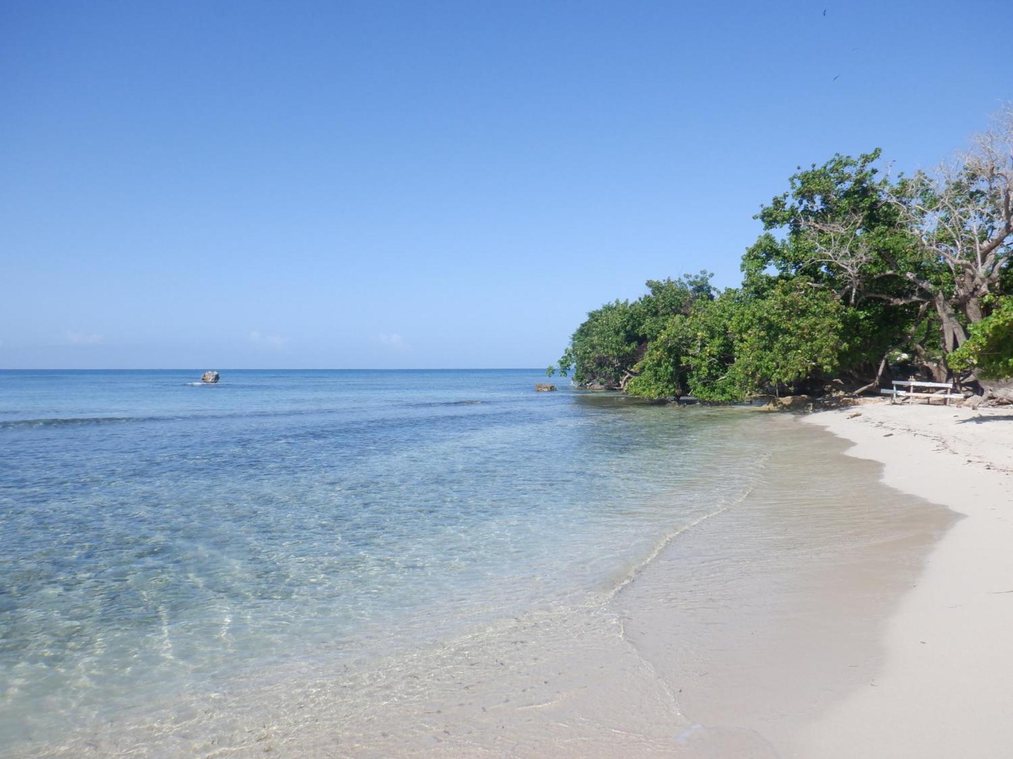 Apartment Negril Beachfront Oceanview 164 & 145 Orange Bay