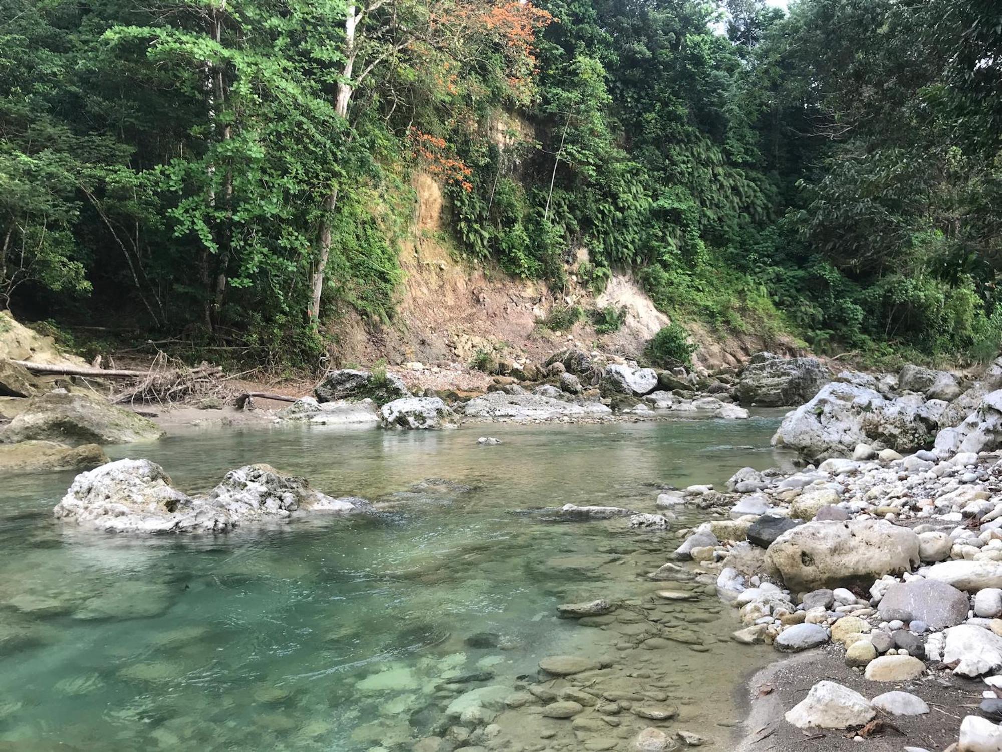 Apartment Beautiful Tropical Eco With Private River Kupuis