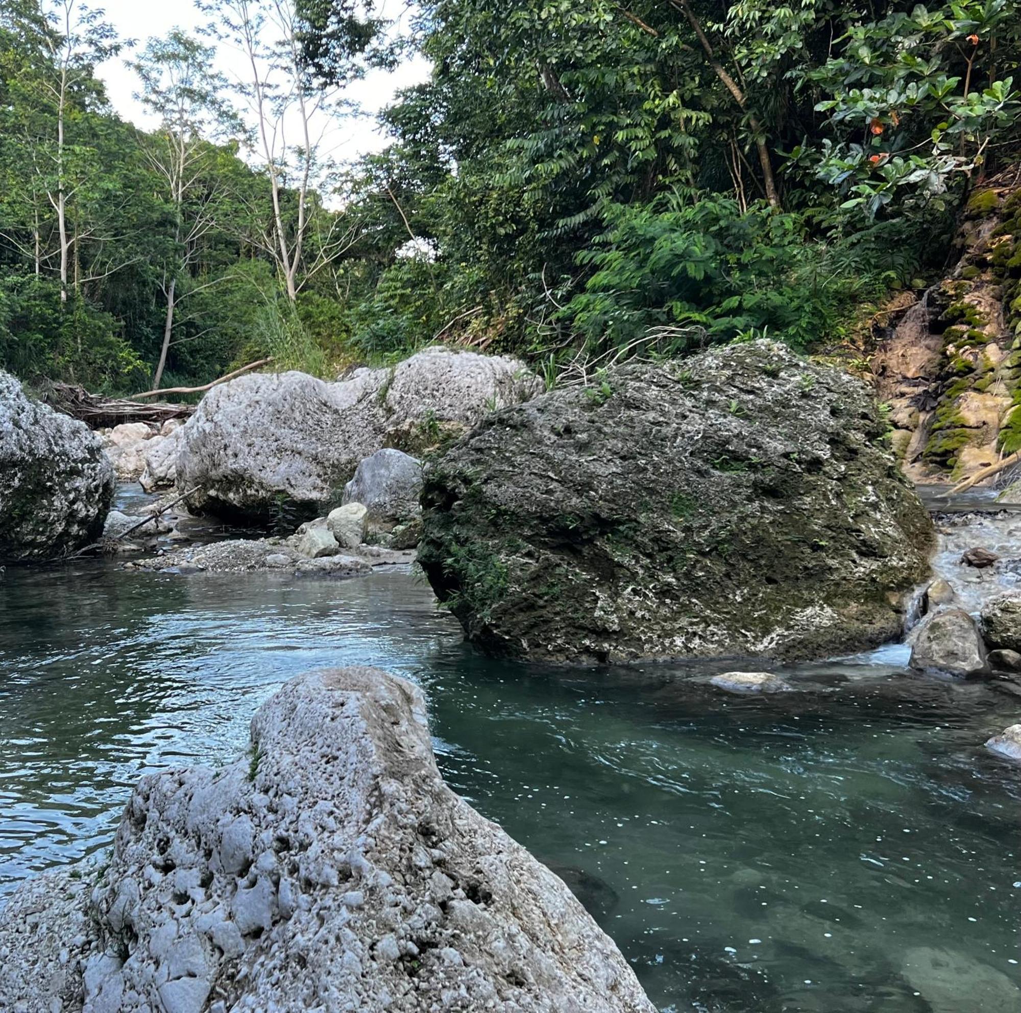 Beautiful Tropical Eco With Private River Apartment