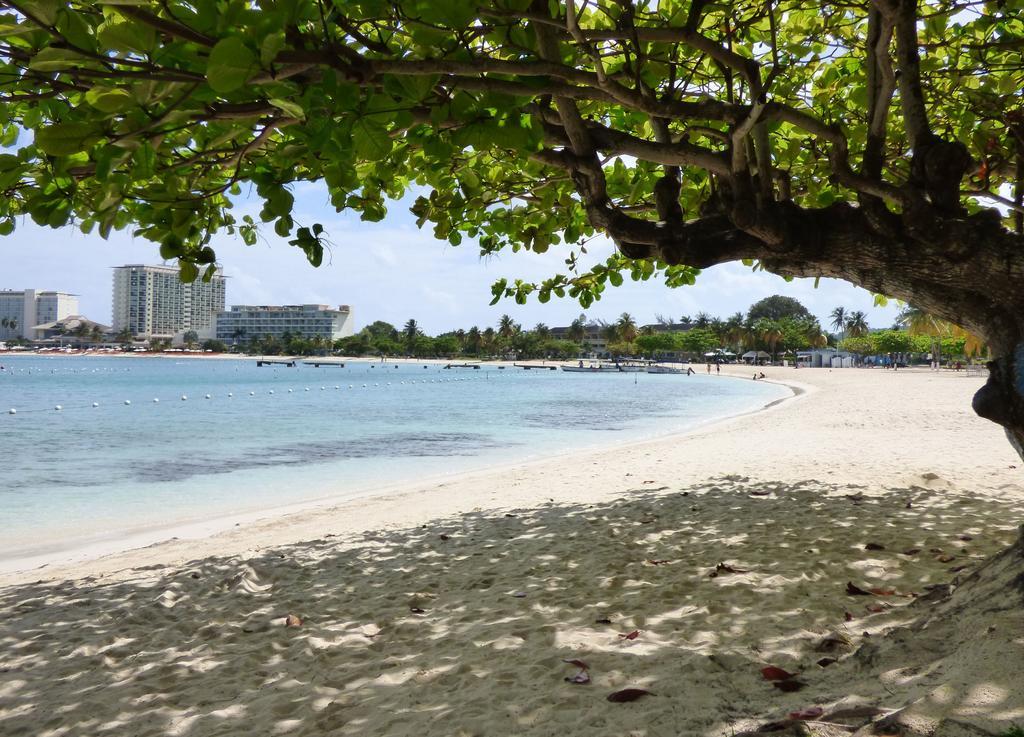 Apartment Beach One Bedroom 05 Ocho Rios