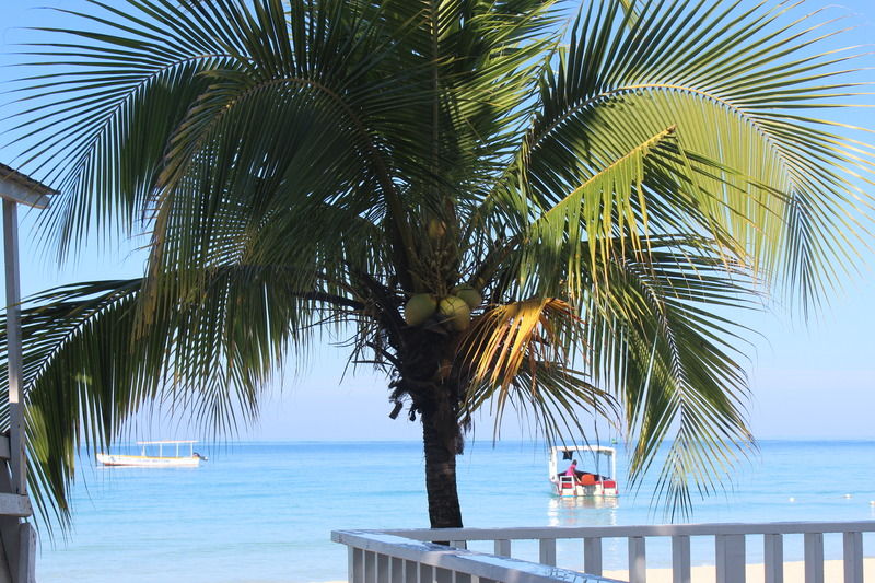 Zanzi Negril