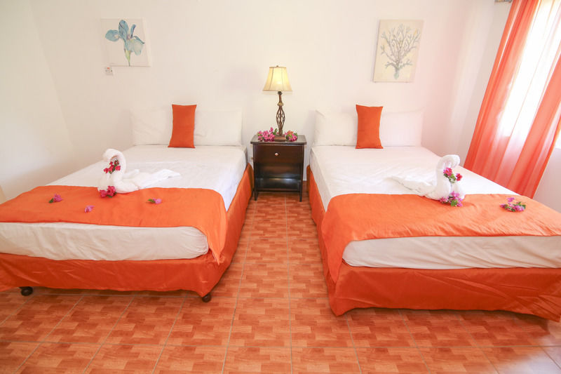 Zanzi Negril