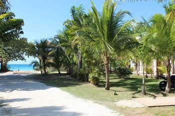 Zanzi 3* Negril