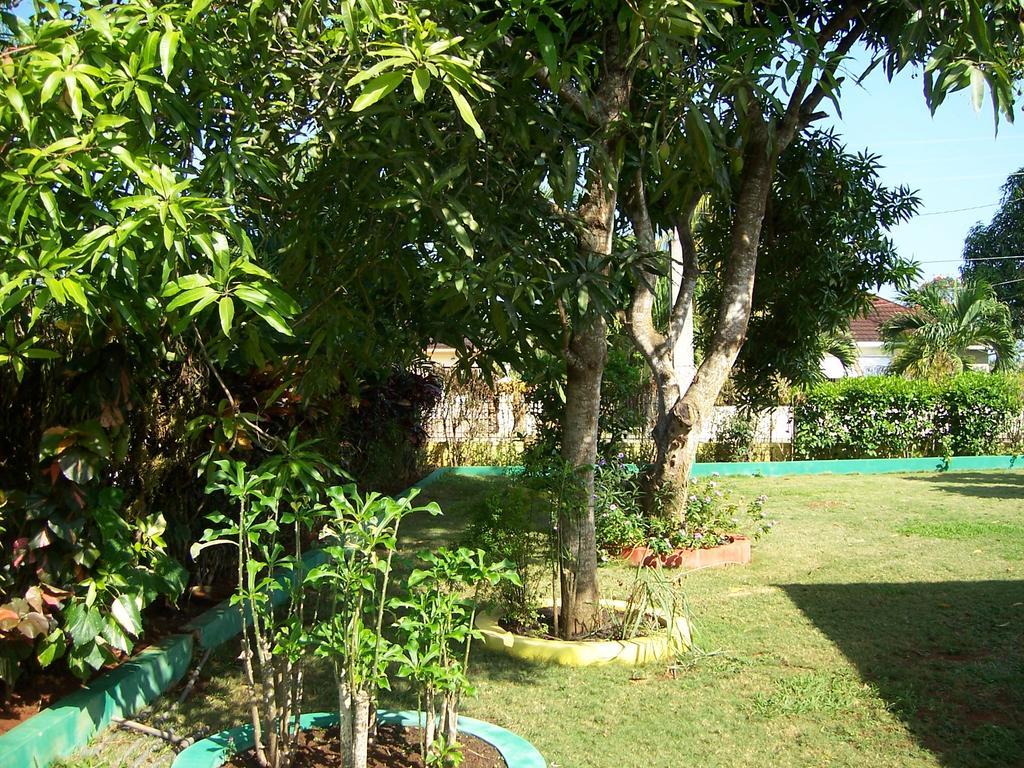 Almond Tree & Apartamento Ocho Ríos