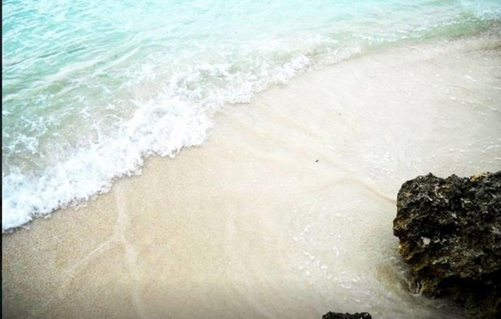 Pensión Jamrock Secret Retreat Montego Bay
