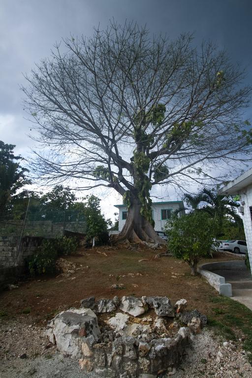 Rocky Retreat Negril