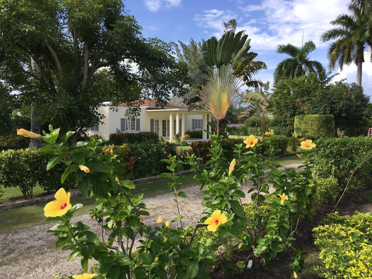 Morning Glory Villas Saint Ann's Bay