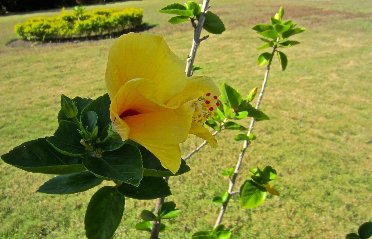 Country house Morning Glory Villas