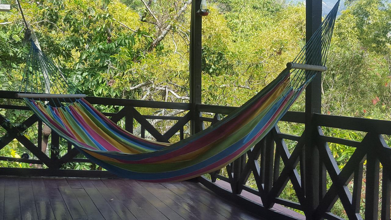Hotel Paradise Reggae Spring Garden