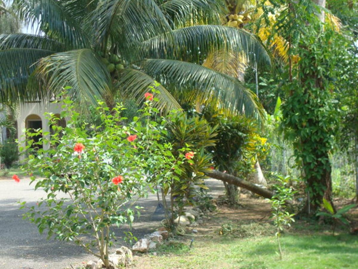 Ocean Wave Villa, Apartahotel