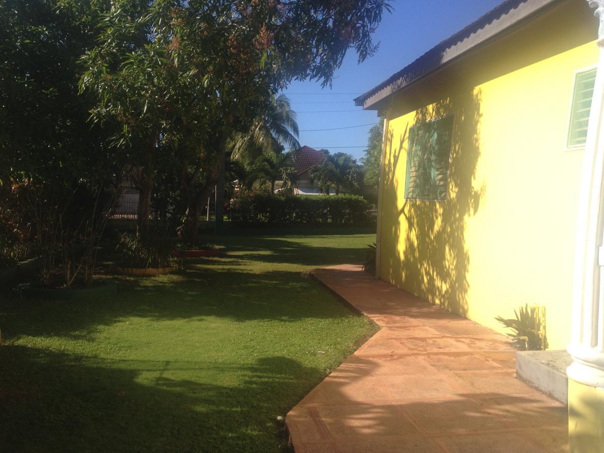 Apartamento Almond Tree & *
