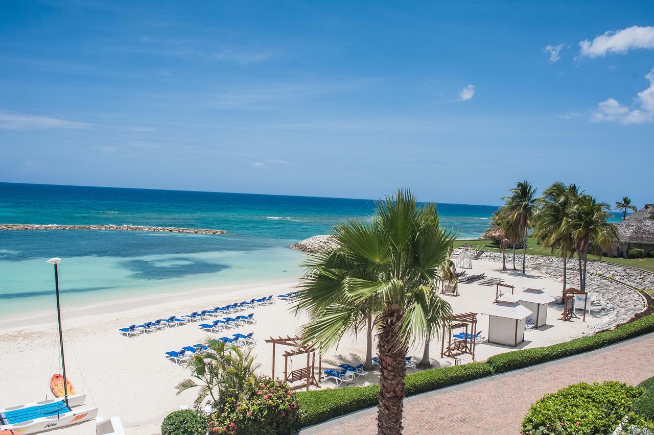 Palmyra Luxury