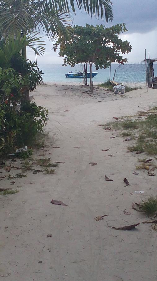 Drifters@one Mile Hostal Negril