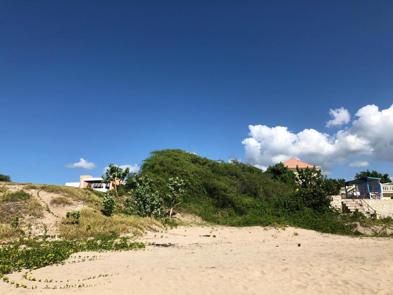 Holiday home Turtles Nest