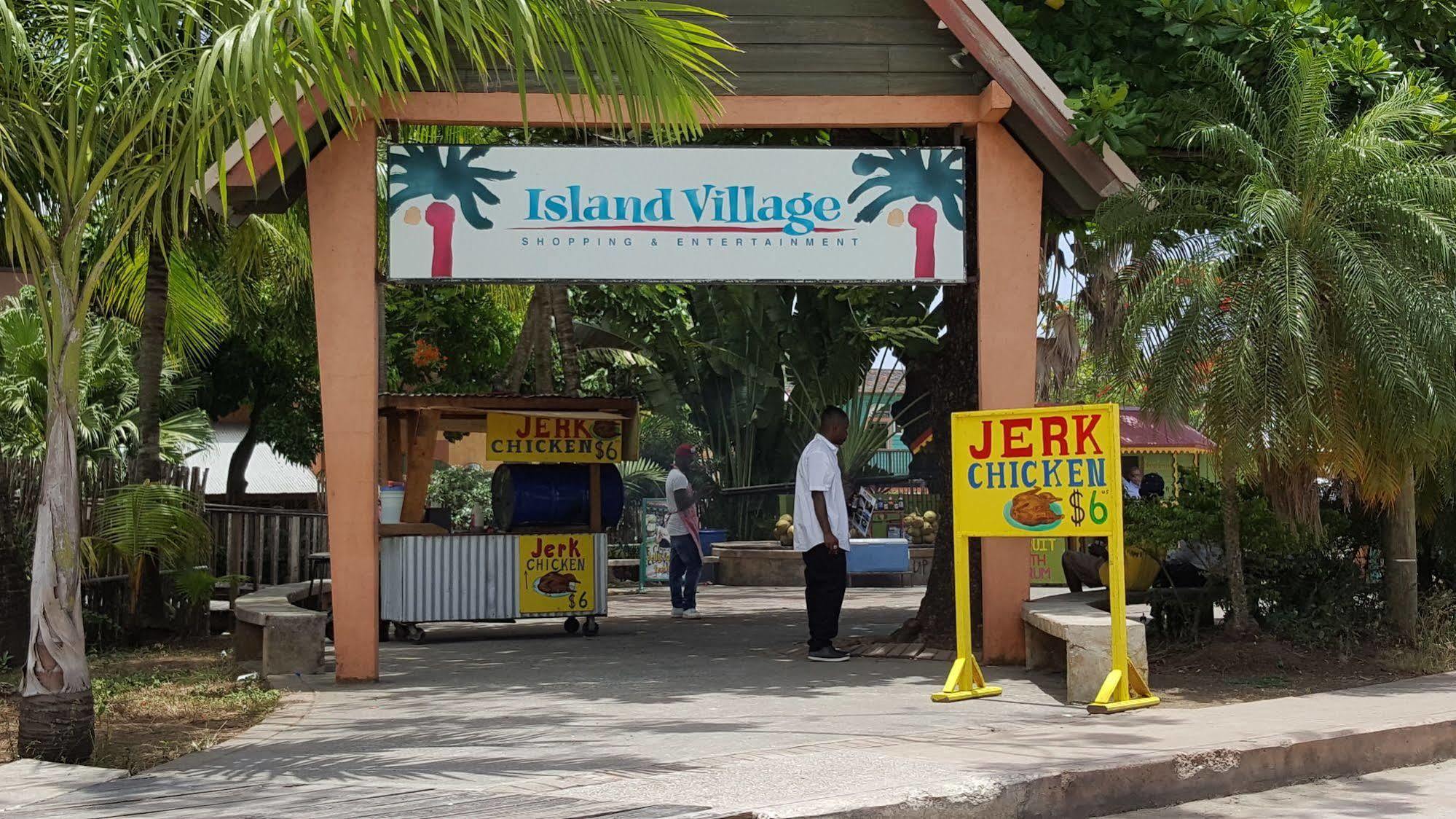 Ocho Rios Getaway At The Palms Villa