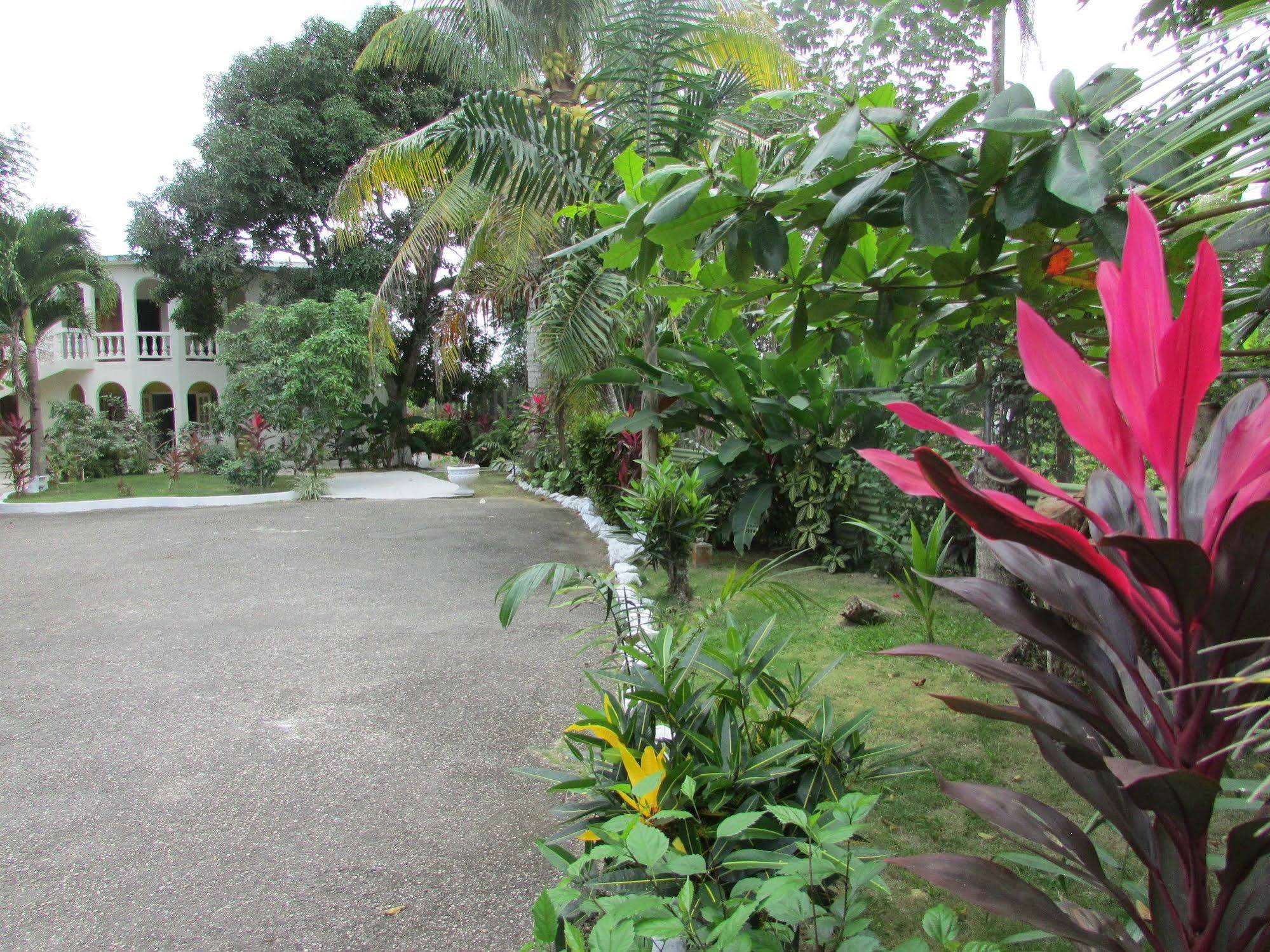 Ocean Wave Villa, Apartahotel Negril