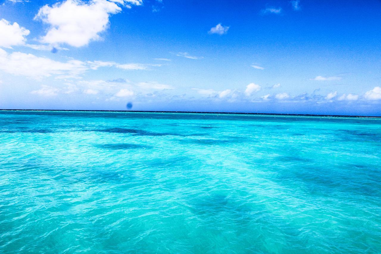 Seagarden Montego Bay