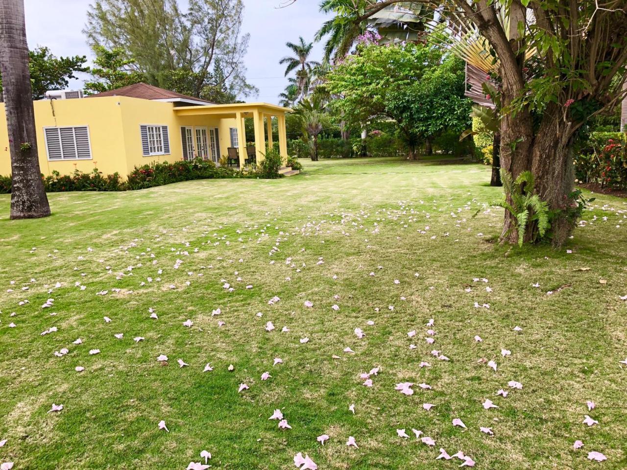 Morning Glory Villas Country house Saint Ann's Bay