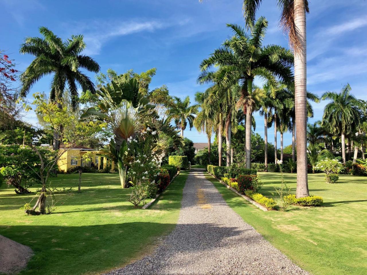 Morning Glory Villas Country house
