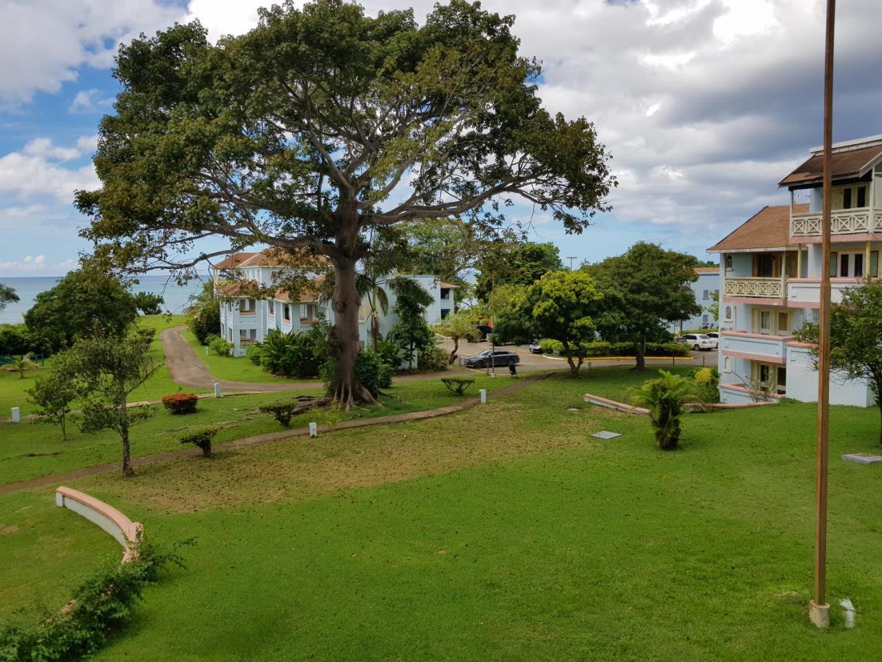 Ocean View Negril