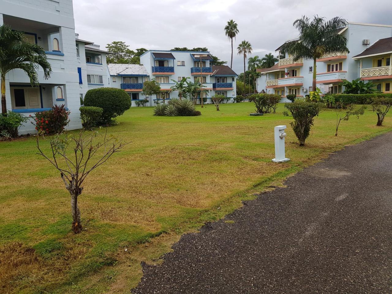 Apartment Ocean View Negril
