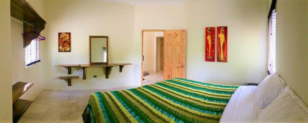 Annie's White House On The Hill Apartment Negril