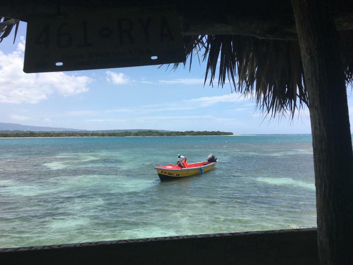 Turtles Nest Holiday home