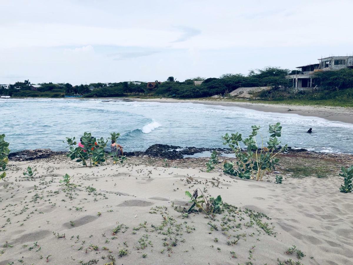 Turtles Nest Holiday home *