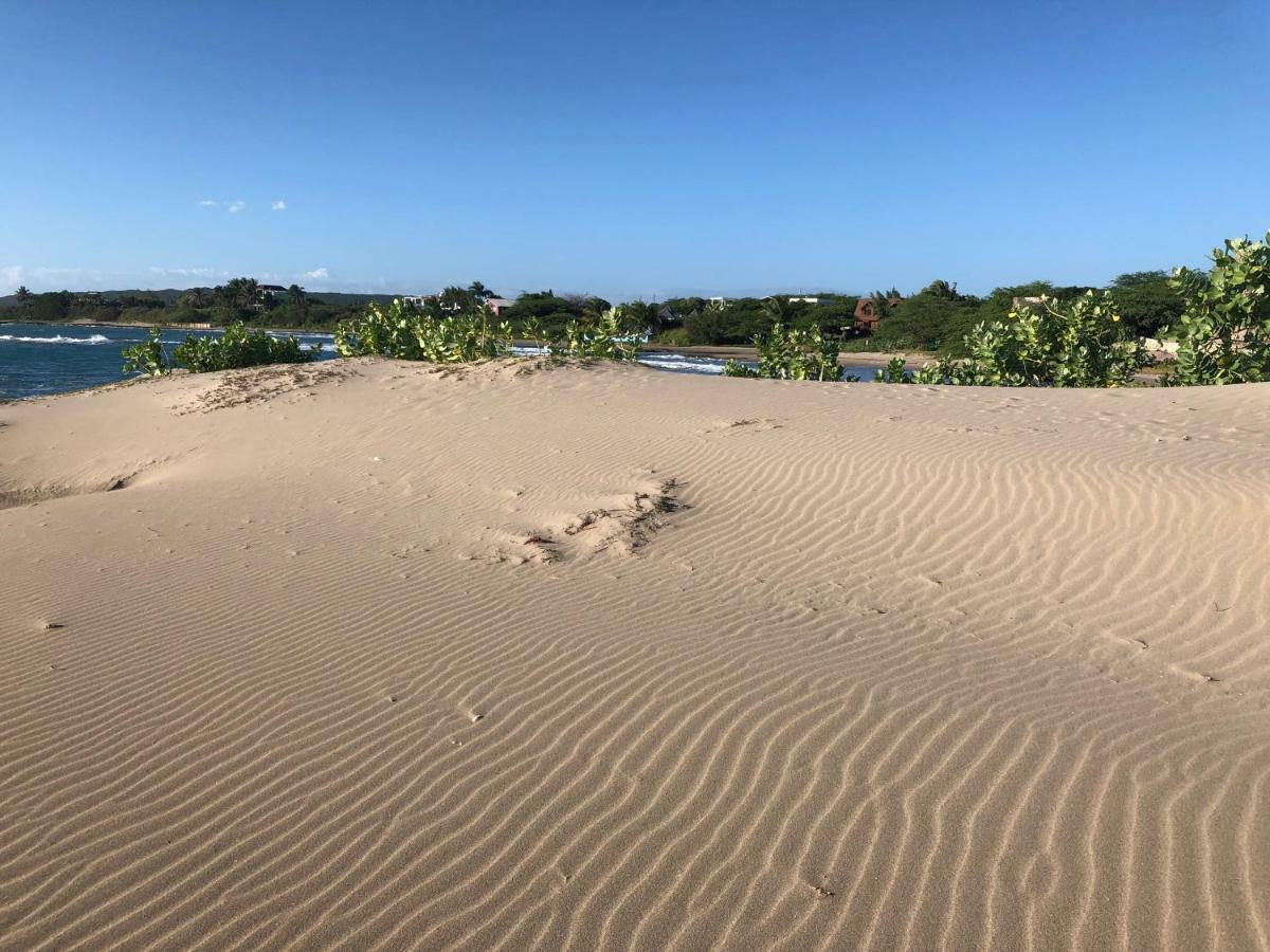 Turtles Nest Holiday home *