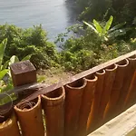 Treehouse Above The Beach