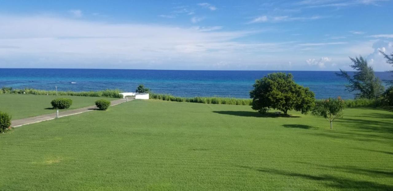 Apartamento C'daview