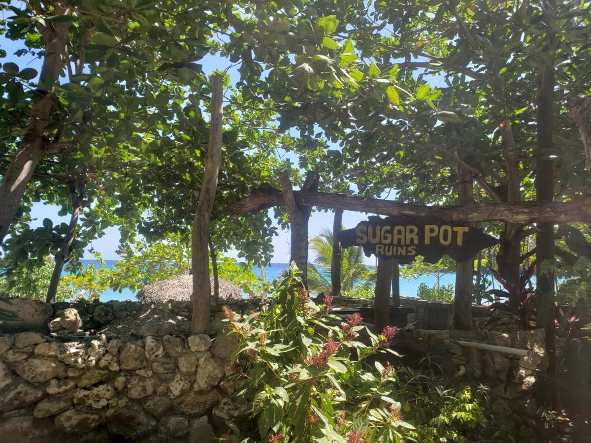 Bed & Breakfast Sea Shell Palms,