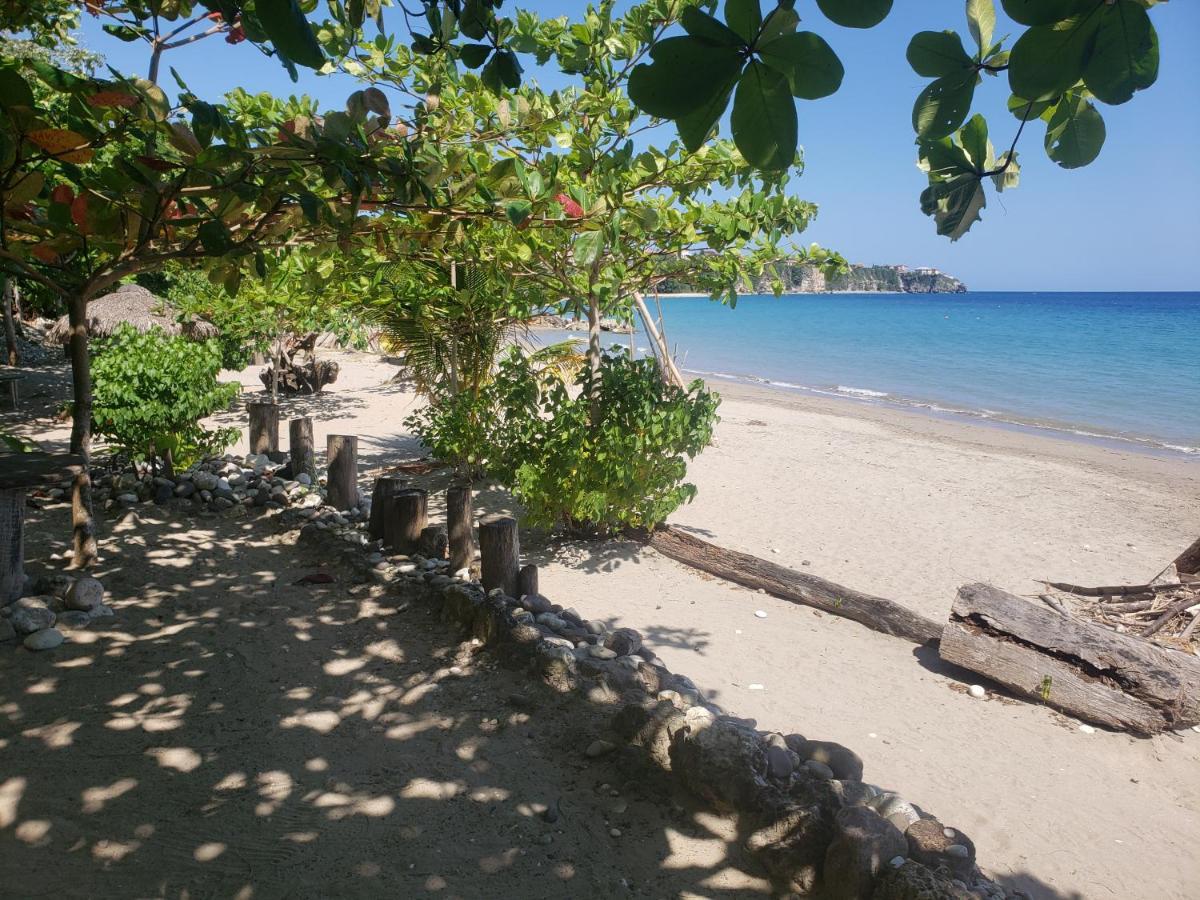 Bed & Breakfast Sea Shell Palms, Ocho Rios