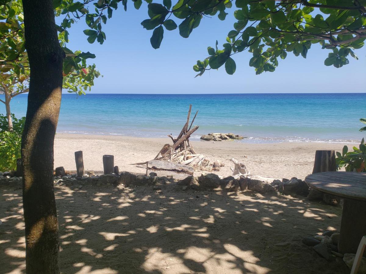 Sea Shell Palms, Bed & Breakfast Ocho Rios