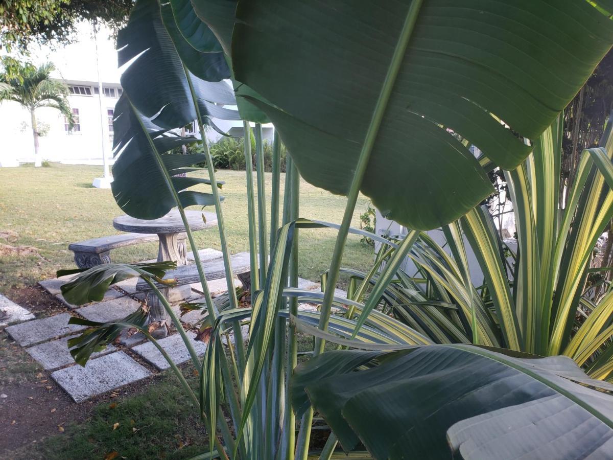 Sea Shell Palms, Ocho Rios