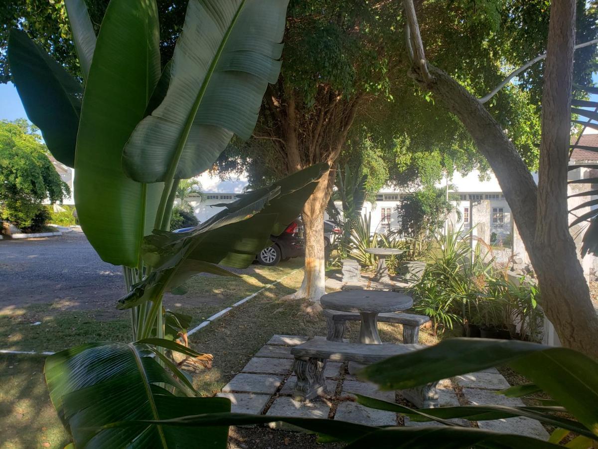 Sea Shell Palms, Bed & Breakfast 3*