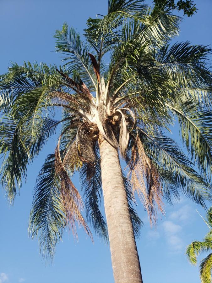 Sea Shell Palms, Bed & Breakfast