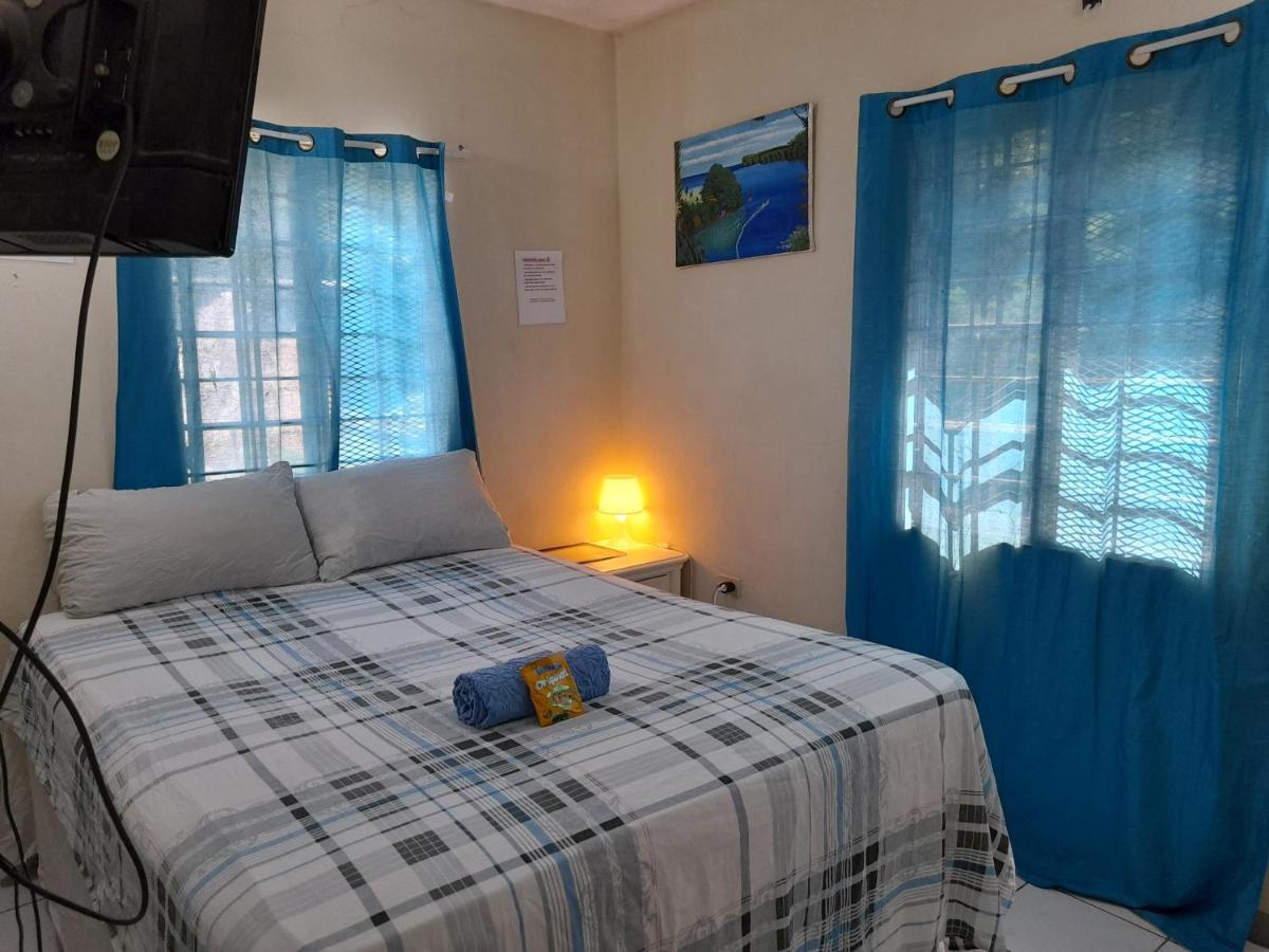 Camelia Homestay *