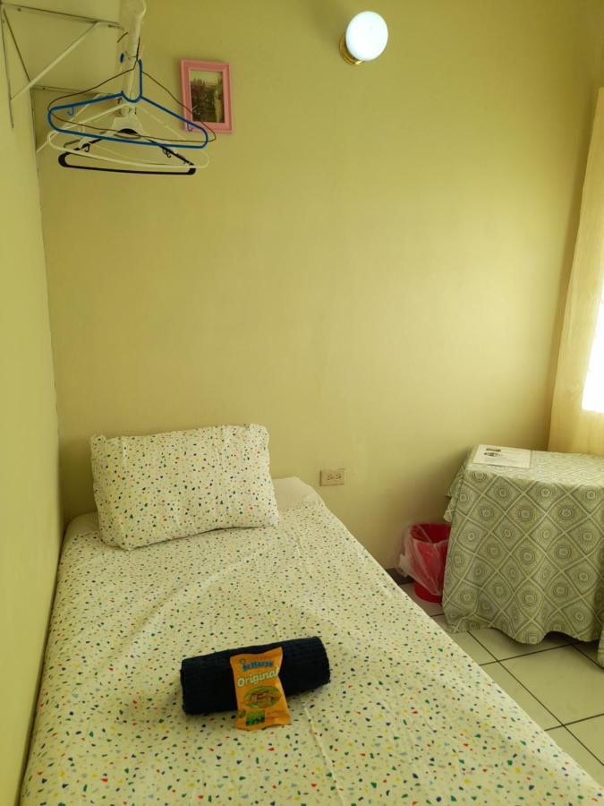 Camelia Homestay Kingston