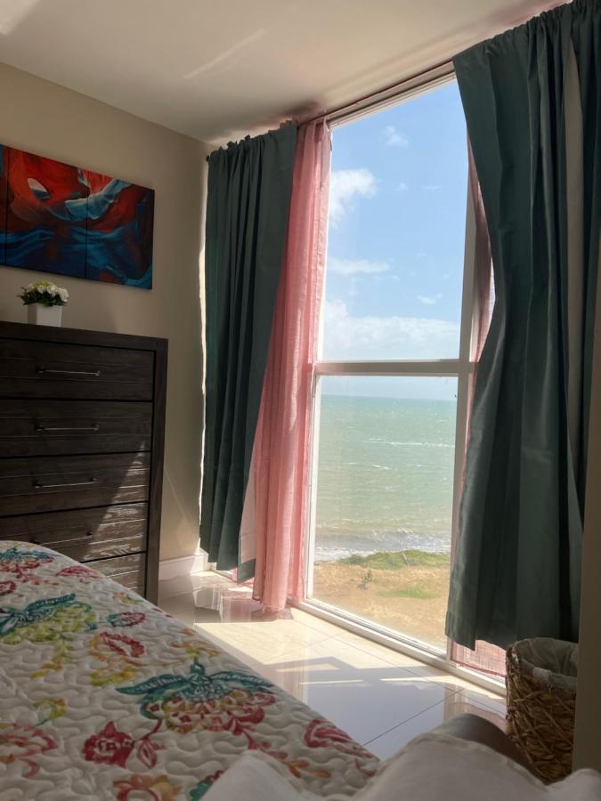 Bayfront & Apartment
