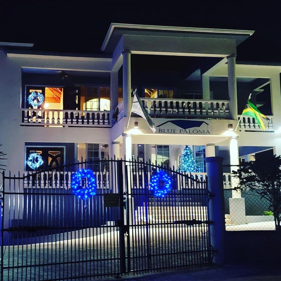 Bed and breakfast Blue Paloma *