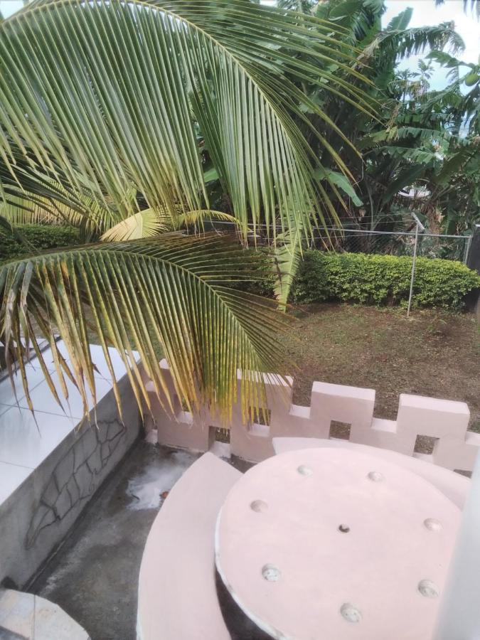 Becaville Bed and breakfast Port Antonio