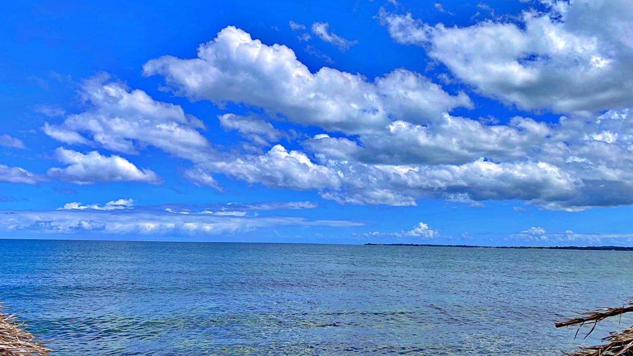 Oceanfront W/ Free Parking + High Speed Wifi Negril
